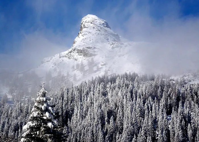 Hotel-aparthotel 3* سان برناردينو